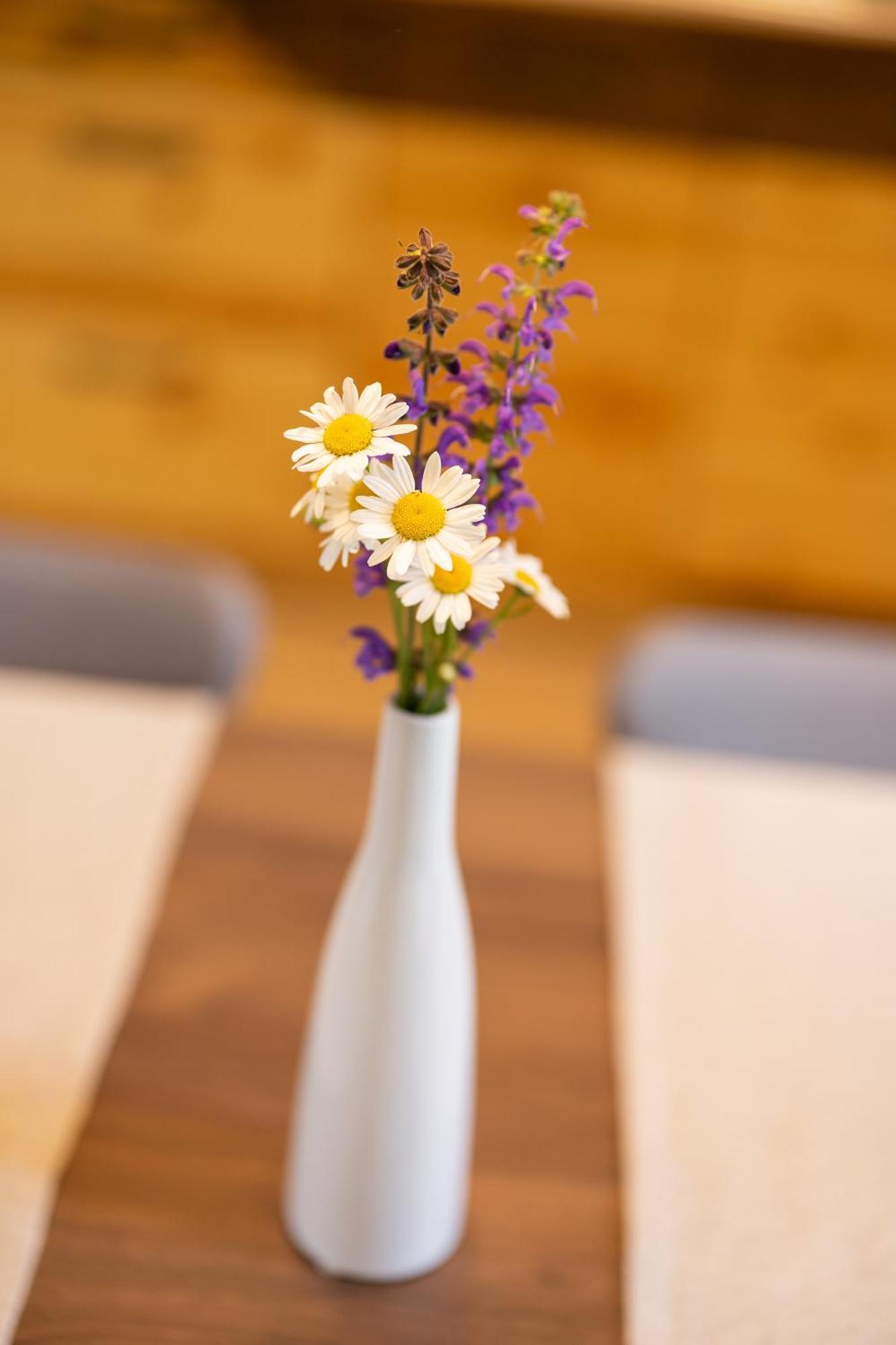 Privillage Stare - B&B Bohinj Eksteriør billede